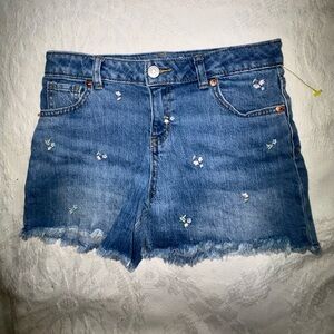 Cat & Jack Blue Denim Embroidered Frayed Hem Shorts